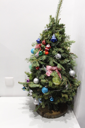 2015-12-30 Фонбренд. Корпоратив Новый Год