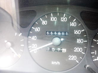 Коростень. Фестиваль дерунів