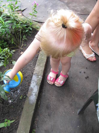 2011-07-31 На даче