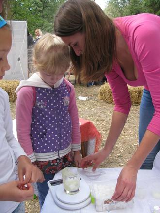 День міста 2016