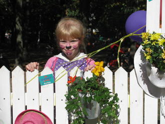 День міста 2016