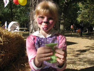 День міста 2016