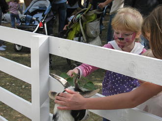 День міста 2016