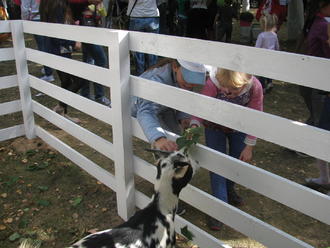 День міста 2016