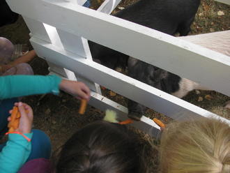 День міста 2016