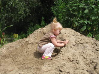 2011-07-31 На даче