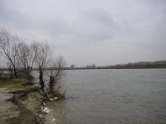 2009-03 Машка месяц первый