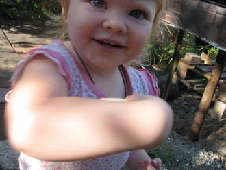 2011-07-31 На даче