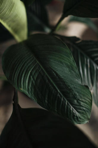 Фотосессия от Кати Мамайсур