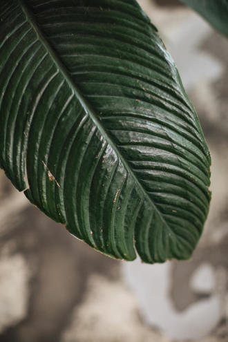 Фотосессия от Кати Мамайсур