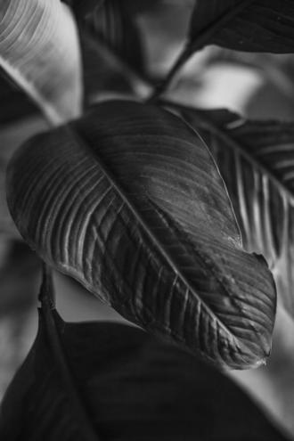 Фотосессия от Кати Мамайсур