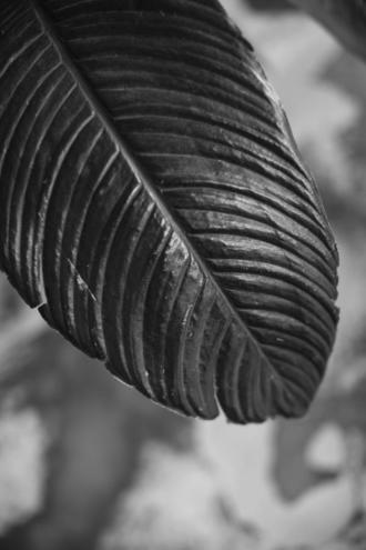 Фотосессия от Кати Мамайсур