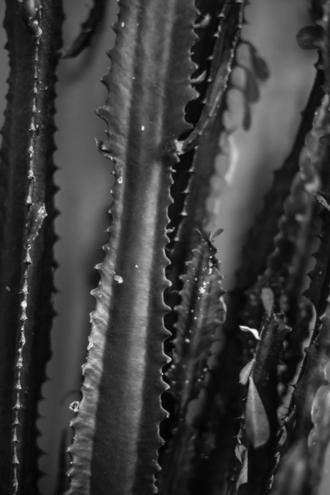 Фотосессия от Кати Мамайсур