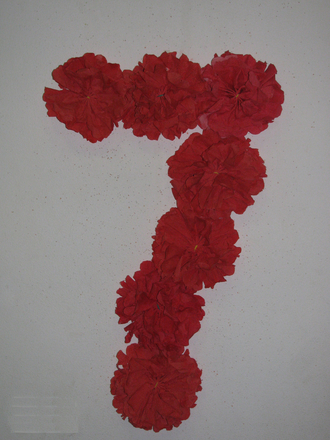 2016-02-06 Маше 7 лет