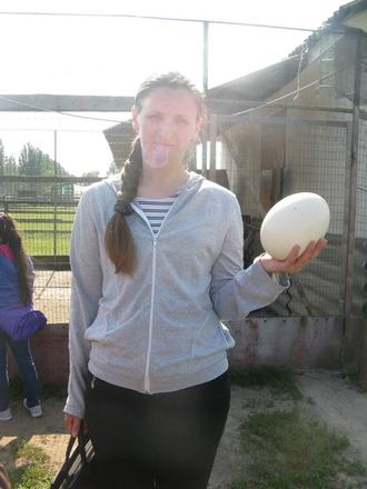 2016-05 Школа и последний звонок