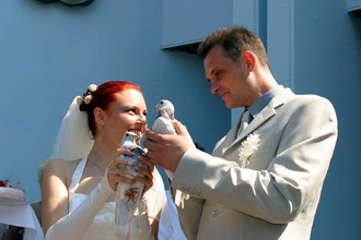 2004-08-20 Наша свадьба