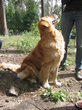 2012-07 Чебоксары