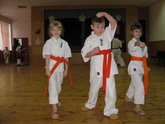 Аттестация на пояс