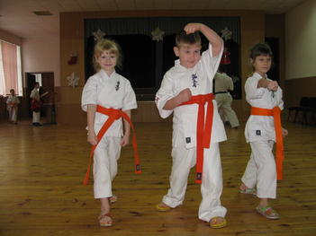 Аттестация на пояс