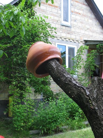 2016-06-11 Дача у Алены