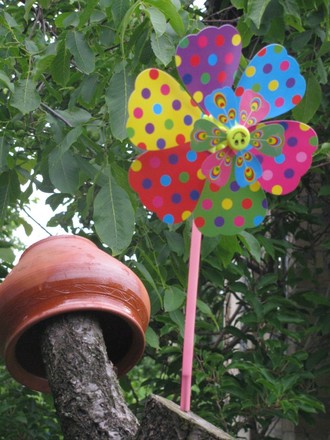 2016-06-11 Дача у Алены