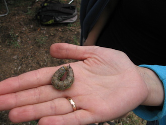 2012-07 Чебоксары