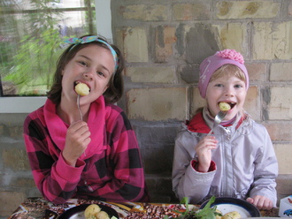 2016-06-11 Дача у Алены