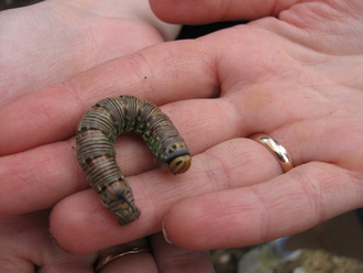 2012-07 Чебоксары