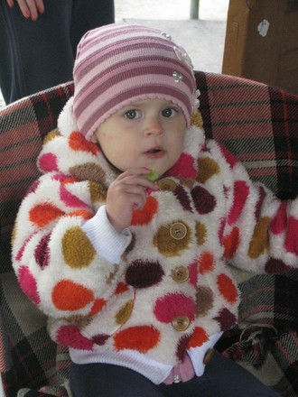 2016-06-11 Дача у Алены