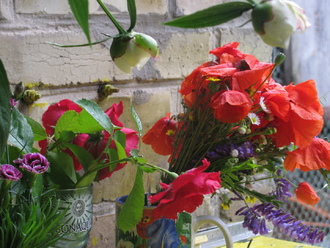 2016-06-11 Дача у Алены