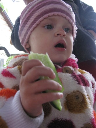 2016-06-11 Дача у Алены