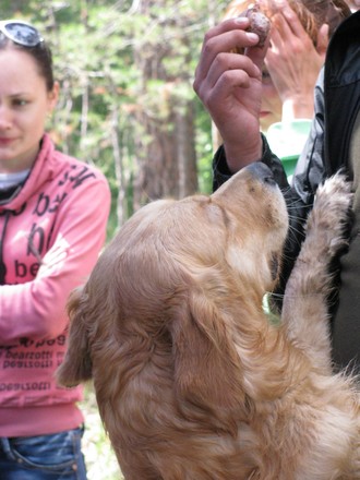 2012-07 Чебоксары