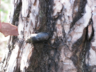 2012-07 Чебоксары