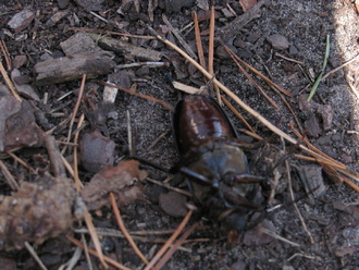 2012-07 Чебоксары