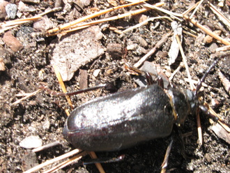 2012-07 Чебоксары