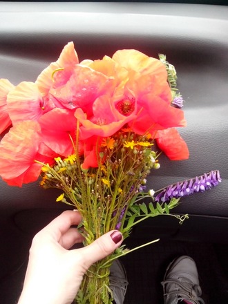 2016-06-11 Дача у Алены