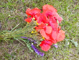 2016-06-11 Дача у Алены