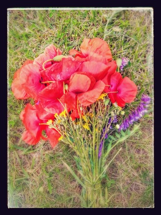 2016-06-11 Дача у Алены