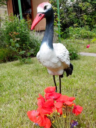 2016-06-11 Дача у Алены