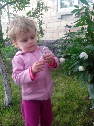 2016-06-11 Дача у Алены