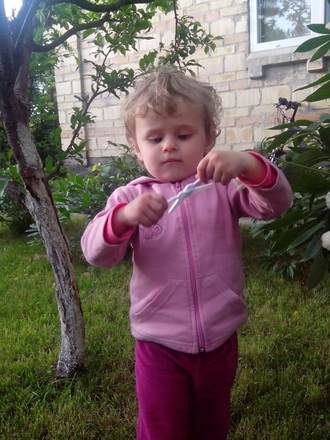 2016-06-11 Дача у Алены