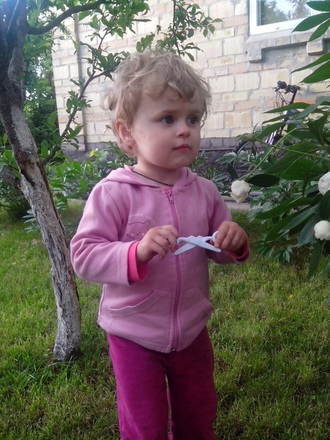 2016-06-11 Дача у Алены