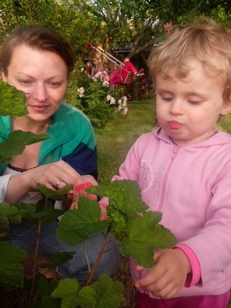 2016-06-11 Дача у Алены