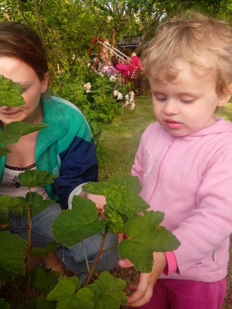 2016-06-11 Дача у Алены