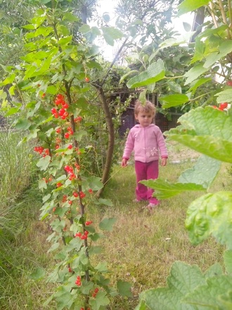 2016-06-11 Дача у Алены