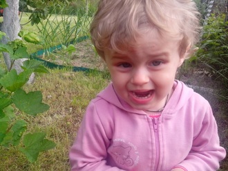 2016-06-11 Дача у Алены