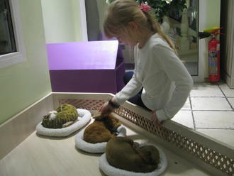 Насте 11 лет!