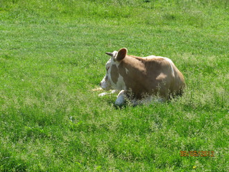 2012-06 Яремче