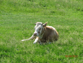 2012-06 Яремче