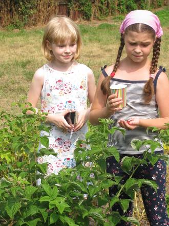 Пуховка. Июль 2017